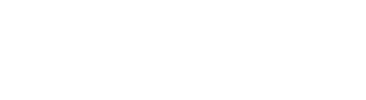Never Give Up World Logo